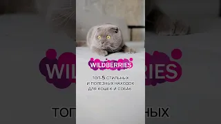 🐱🐶ТОП-5 КРУТЫХ ТОВАРОВ ДЛЯ КОШЕК И СОБАК С Wildberries#котики#обзор#wildberries#милота#находки