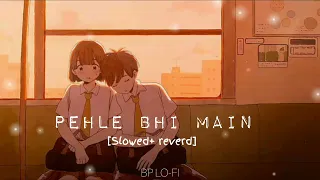 Pehle Bhi Main (Slowed + Reverb) | Vishal Mishra | Animal | BL LO-FI