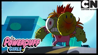 Blossom Has Turned | Powerpuff Girls | Cartoon Network