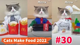 Cats make food 2022 "That Little Puff" Tiktok Compilation New #30