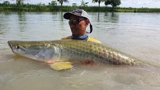 Big Arapaima (Pirarucu ) Fishing Thailand 2020.- Bkk Fishing Tour- BKKGUY