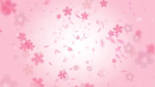 動画素材 舞い散る桜と桜花びら Falling cherry blossoms and cherry blossom petals