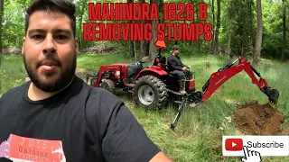 Mahindra 1626B Backhoe | FIRST TIME DIGGING OUT STUMPS