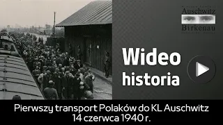 Wideo historia | Pierwszy transport Polaków do KL Auschwitz 14 czerwca 1940 r