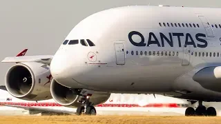 THIS is WHY you should go PLANE SPOTTING | A380 A350 B777 A330 | Melbourne Airport Plane Spotting