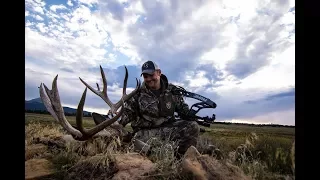 Bowhunting Colorado Mule Deer~ 2017 Part 2