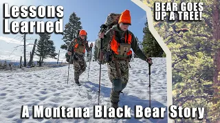 2023 Montana Spring Black Bear Story- First Western Trip!