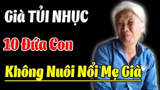 GIÀ TỦI NHỤC... 10 Đứa Con Không Nuôi Nổi Một Mẹ - Triết Lý Vàng