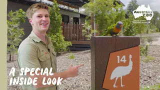 Robert tours his favourite cabin | Australia Zoo Life