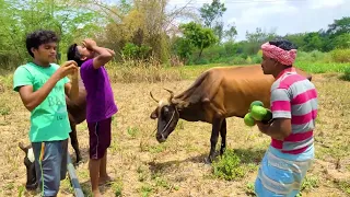 MASS idea BEEF LEG Fun Thief Cooking and Eating Delicious in  VILLAGE HUNTER