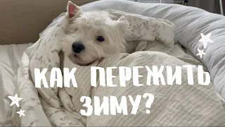 Как пережить зиму?