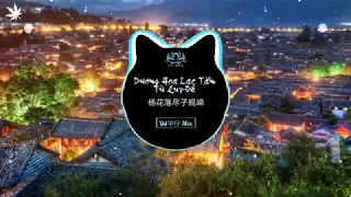 Dương Hoa Lạc Tẫn Tử Quy Đề | G2er & 黄诗扶 - 花落尽子规啼 (DJ 华仔 Remix V2)