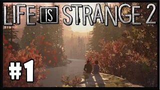 Life is Strange 2 - Episode 1: Roads - Walkthrough - Part 1 (PC HD) [1080p60FPS]
