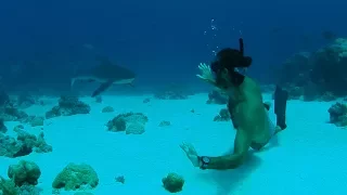 Diving with BIG animals in the most remote (and best) island on earth | Cocos (Keeling) Islands