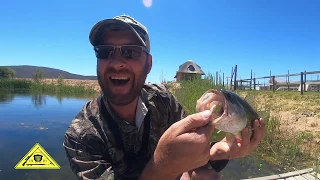 Bass Fishing [Catch Clean Cook] South Africa