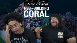 Ze Frank True Facts: Reef Coral Is A Crazy Animal!! | REACTION