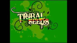 Tribal Seeds - Rasta refuse it