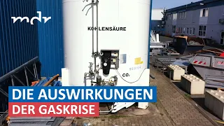 Mangel an Kohlensäure trifft Brauereien | Umschau | MDR