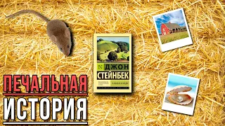 "О мышах и людях", «Жемчужина»/ Джон Стейнбек- Отзыв на книгу📚