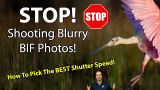 Shutter Speeds For TACK SHARP Bird-In Flight Photos!