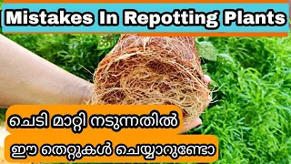 Avoid these 10 Mistakes in Repotting Plants | ചെടി മാറ്റി നടുന്നതിൽ ഒഴിവാക്കേണ്ട 10 തെറ്റുകൾ