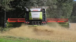 Wintergerste Dreschen mit einem Claas Lexion 760 Terra Trac Teil 3