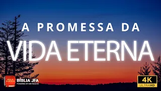 1, 2 e 3 João | Uma vida transformada para a eternidade 💛  - Bíblia JFA Offline