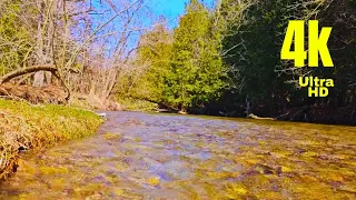 spring river very beautiful 4k video , #nature #motivation #beautiful #viral #shorts