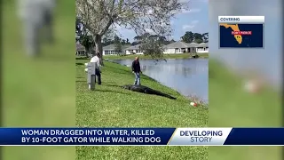 Elderly Florida woman killed by 10-foot alligator while walking her dog