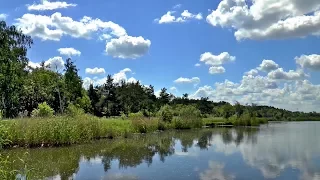 The Secret Life of Wetlands: Finding Solutions to Environmental Threats at UMD