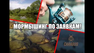 Мормышинг по заявкам!