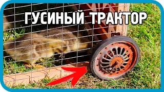 СПАСТИ ГУСЯТ ОТ НЕПРИЯТЕЛЯ! Делаем "Гусиный трактор"