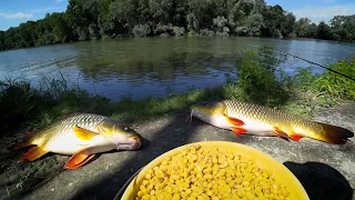 CUM SA PRINZI PE CANICULĂ. TEHNICA MEA DE PESCUIT LA CRAP PE RAU SĂLBATIC