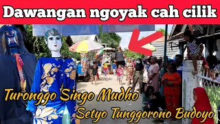 Dawangan kejar anak - anak,