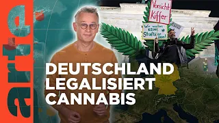 Cannabis – in Deutschland legal | Mit offenen Karten - Im Fokus | ARTE