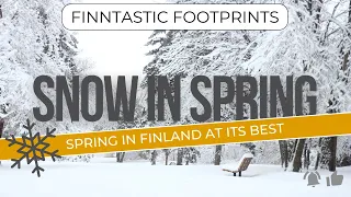 Spring in Finland at its Best | Snowy Spring | Explore Finland