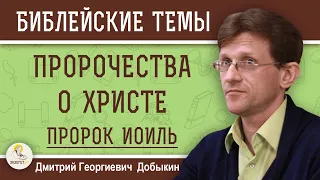 ПРОРОК ИОИЛЬ. ПРОРОЧЕСТВА О ХРИСТЕ.  Дмитрий Георгиевич Добыкин