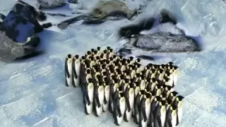 The origin of traveling waves in an emperor penguin huddle