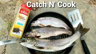 Utah Trout Fishing Catch N' Cook! Multi Species Trout Fishing