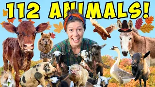 Morning Chores FARM TOUR! | Feeding All My Animals (Fall 2023)