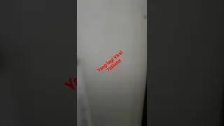 Viral tiktok toilet tkw yang masih hangat