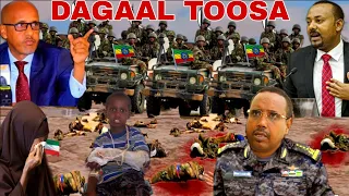 DEG/DAGAL TOSA JIGJIGA CABDI ILAY O FASHILIYAY SHIQOLKI ABIYE & CAGJAR O BAXSADAY LIYUGA HUBKA QATAY