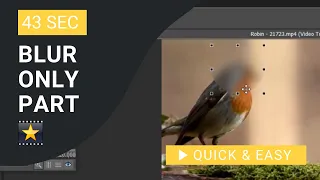 VideoPad Tutorial: How to Blur only Part of The Video in VideoPad