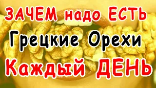 Вот что с Вами БУДЕТ, если ЕСТЬ ГРЕЦКИЕ ОРЕХИ КАЖДЫЙ ДЕНЬ 👍 Почему надо есть ГРЕЦКИЕ ОРЕХИ