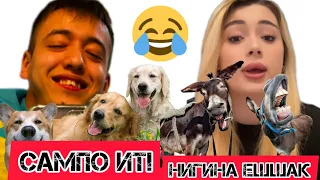 НИГИНА ЕШШАК, САМПО КУЧУК🤣🤣🤣 БУ КАНАКА БАТЛ БУЛДИ?