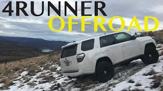 4Runner Goes Offroad