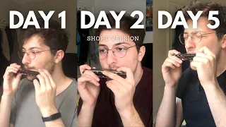 5 Days Harmonica Progress #shorts