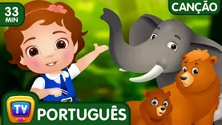 Vamos Todos À Floresta (Let's Go to the Forest) | Canções infantis em português | ChuChu TV Coleção