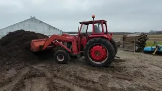 Massey ferguson 178 with loader in Holland