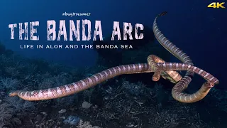 THE BANDA ARC, Scuba Diving in Alor and Banda Sea (4k)